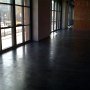 The_Jungle_at_Comerica_Park_Detroit_Seamless_epoxy (10)